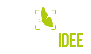 Stampa Idee | Decorazione casa e idee regalo a Verona